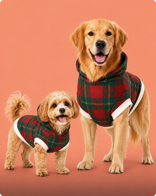 Dog Pajamas