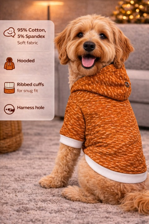 University of Texas Inspirational Doggie Hoodie