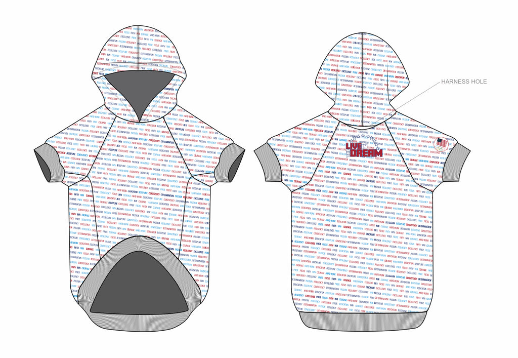 Inspirational Team USA Doggie Hoodie