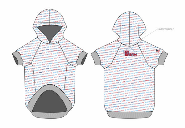 Inspirational Team USA Doggie Hoodie