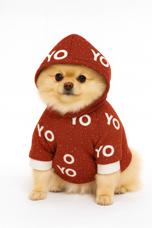Christmas Doggie Hoodie