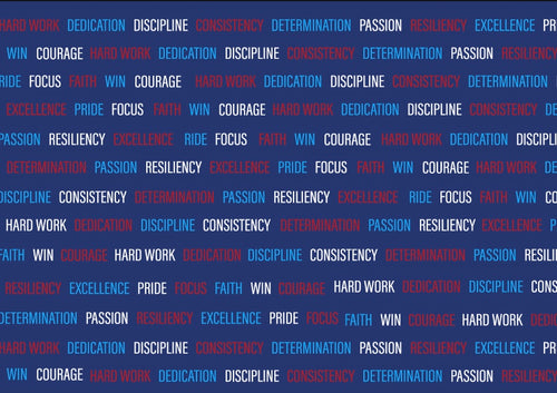 Inspirational Team USA Doggie Hoodie