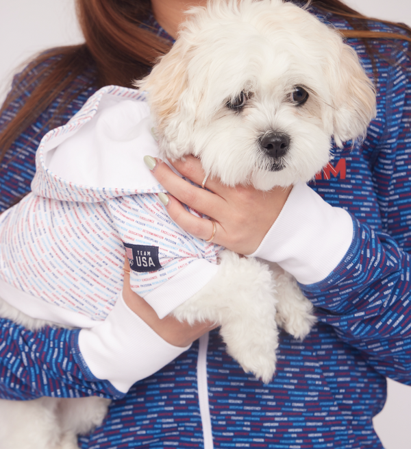 Inspirational Team USA Doggie Hoodie