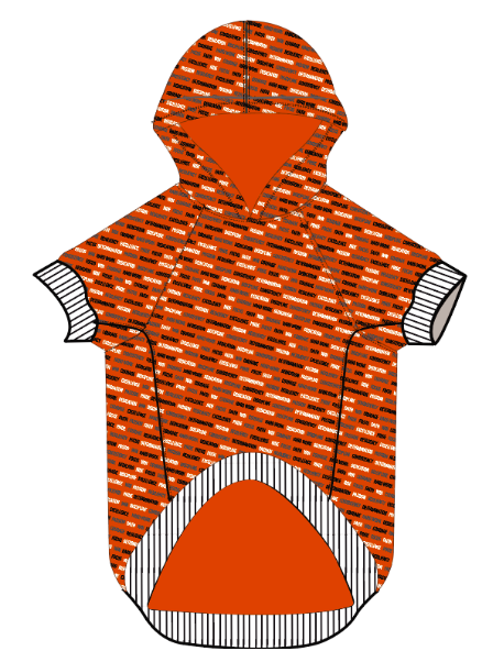 University of Texas Inspirational Doggie Hoodie